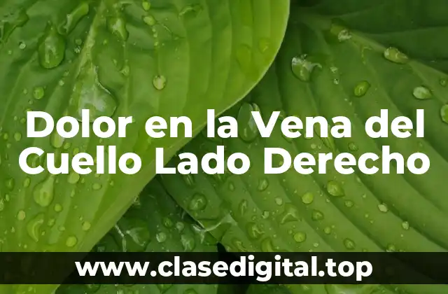Dolor en la Vena del Cuello Lado Derecho