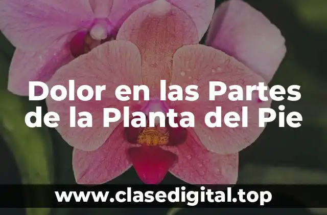 Dolor en las Partes de la Planta del Pie