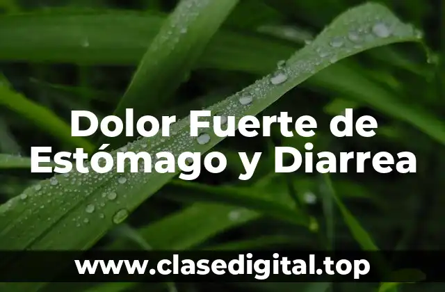Dolor Fuerte de Estómago y Diarrea