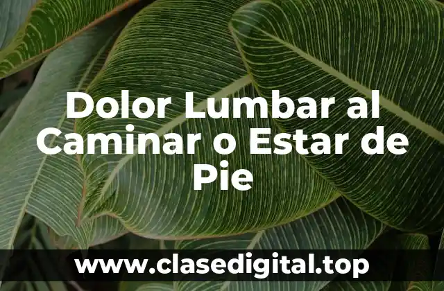 Dolor Lumbar al Caminar o Estar de Pie