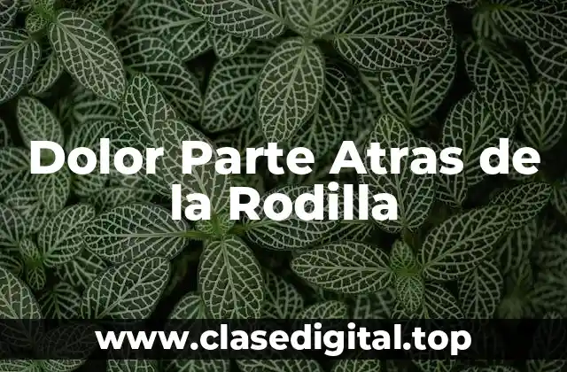 Dolor Parte Atras de la Rodilla