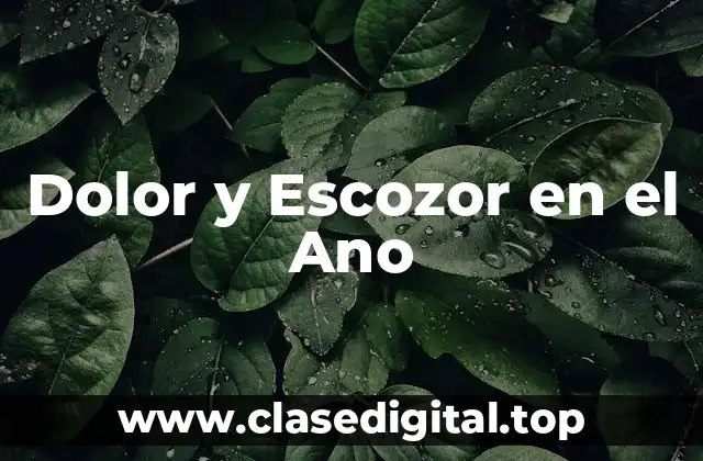 Causas del Dolor y Escozor en el Ano