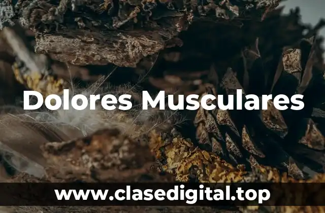 Causas y Síntomas de los Dolores Musculares