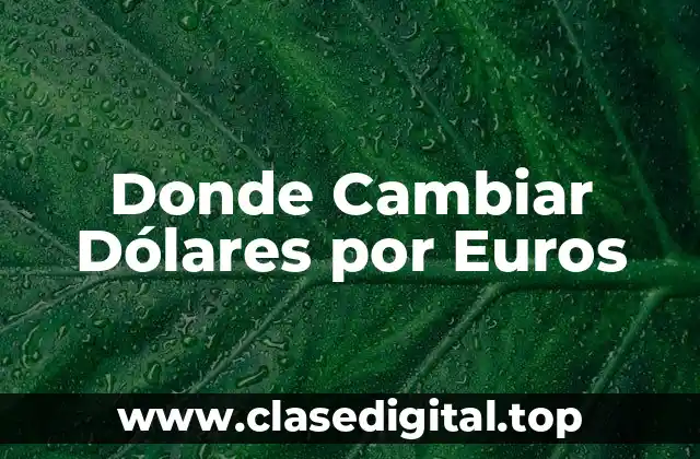 Tipos de Cambio de Moneda: Entendiendo la Tasa de Cambio