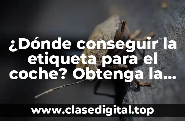 ¿Dónde conseguir la etiqueta para el coche? Obtenga la respuesta aquí