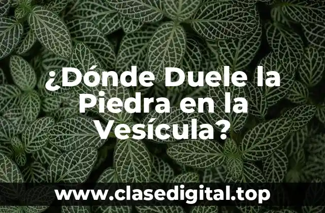 ¿Dónde Duele la Piedra en la Vesícula?