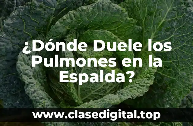 ¿Dónde Duele los Pulmones en la Espalda?