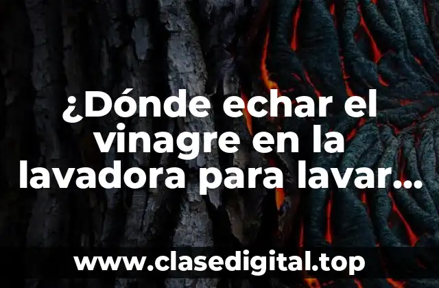 ¿Dónde echar el vinagre en la lavadora para lavar ropa más limpia y fresca?