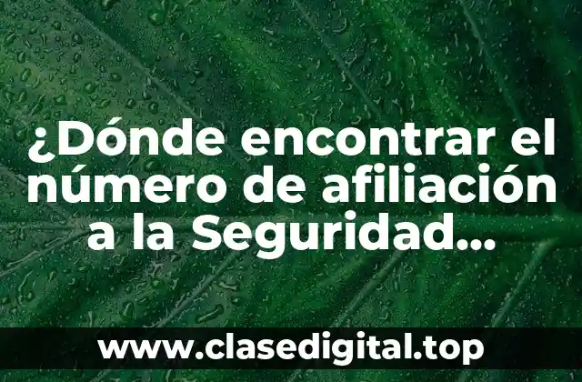 ¿Qué es el número de afiliación a la Seguridad Social?