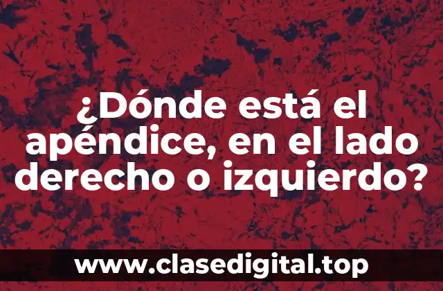 ¿Dónde está el apéndice, en el lado derecho o izquierdo?