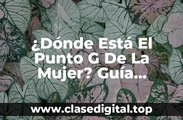 Anatomía Femenina y El Punto G