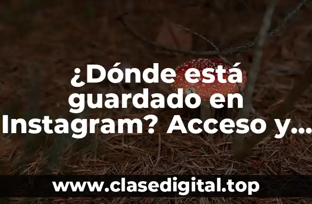 ¿Dónde está guardado en Instagram? Acceso y visibilidad de tus archivos