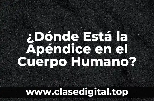 ¿Dónde Está la Apéndice en el Cuerpo Humano?
