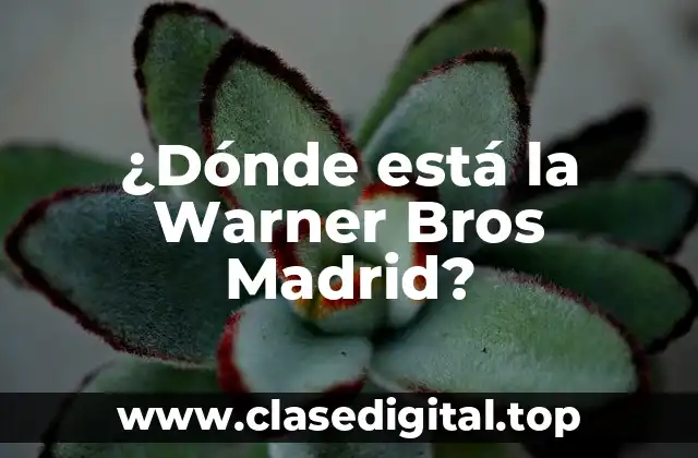 La historia detrás de la Warner Bros Madrid