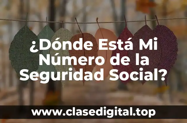 ¿Dónde Está Mi Número de la Seguridad Social?