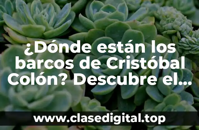 La flota de Colón: los barcos que cambiaron la historia