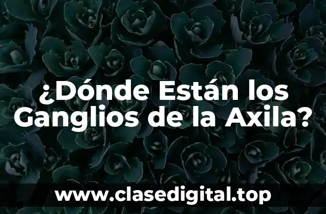 Anatomía de los Ganglios de la Axila