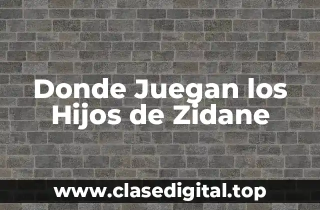 Donde Juegan los Hijos de Zidane