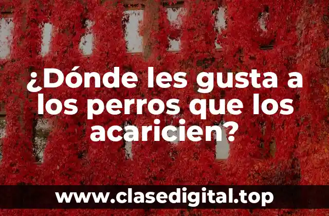 ¿Dónde les gusta a los perros que los acaricien?