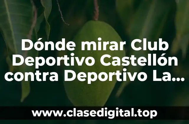 Dónde mirar Club Deportivo Castellón contra Deportivo La Coruña en vivo