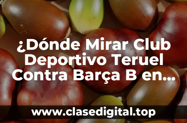 ¿Dónde Mirar Club Deportivo Teruel Contra Barça B en Vivo?