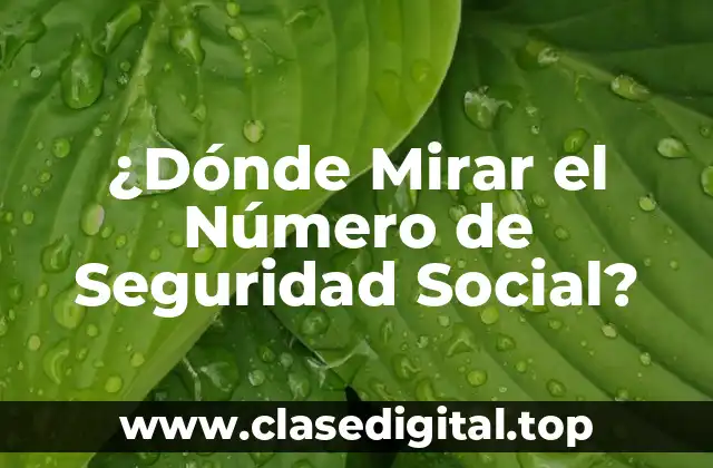 ¿Dónde Mirar el Número de Seguridad Social?