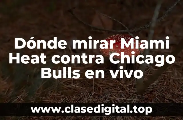 Dónde mirar Miami Heat contra Chicago Bulls en vivo