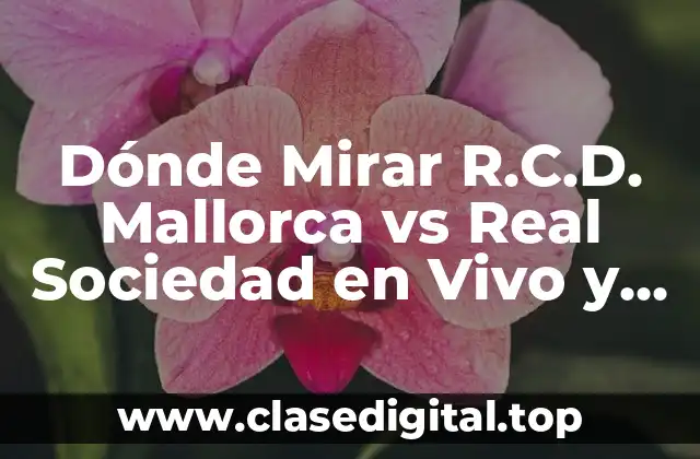 Dónde Mirar R.C.D. Mallorca vs Real Sociedad en Vivo y en Directo