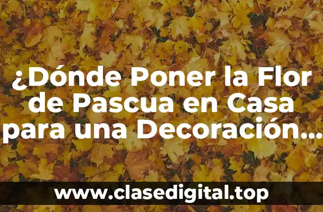 La Significado de la Flor de Pascua