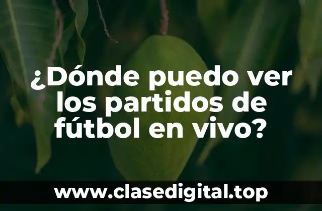 ¿Dónde puedo ver los partidos de fútbol en vivo?