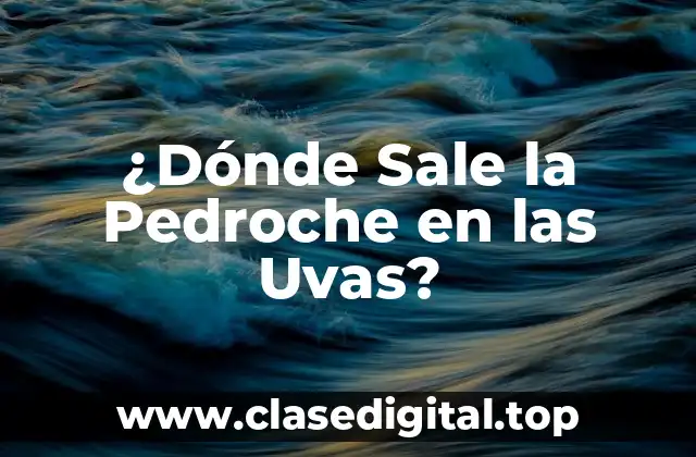 ¿Dónde Sale la Pedroche en las Uvas?