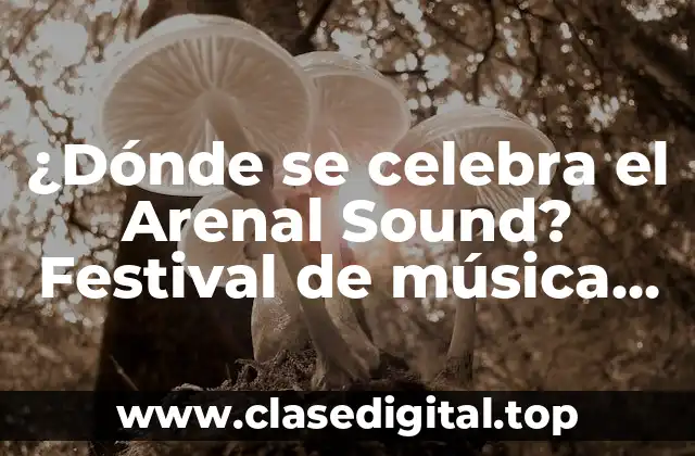 Historia del Arenal Sound