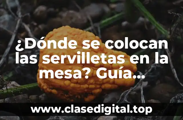 ¿Dónde se colocan las servilletas en la mesa? Guía completa para establecer la etiqueta en la mesa