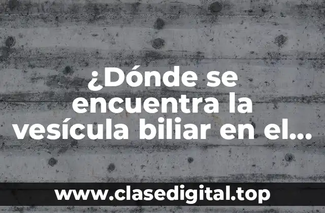 ¿Dónde se encuentra la vesícula biliar en el cuerpo humano?