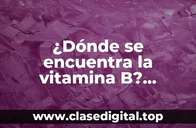 ¿Dónde se encuentra la vitamina B? ¡Descubre los alimentos ricos en vitamina B!