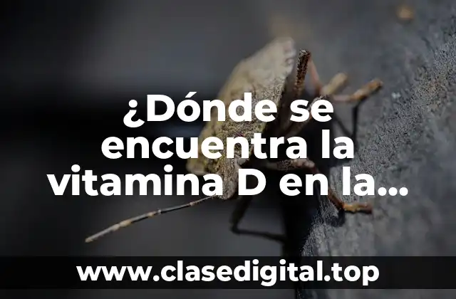 ¿Dónde se encuentra la vitamina D en la naturaleza y en los alimentos?