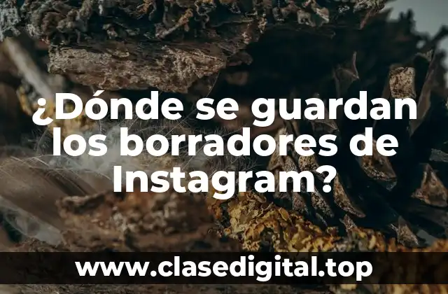 ¿Dónde se guardan los borradores de Instagram?