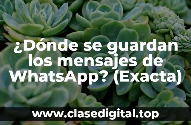 ¿Dónde se guardan los mensajes de WhatsApp? (Exacta)