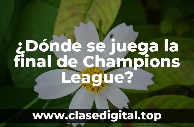 ¿Dónde se juega la final de Champions League?