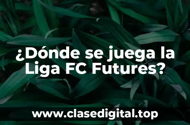 Historia de la Liga FC Futures