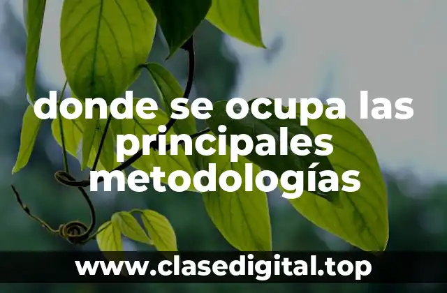donde se ocupa las principales metodologías