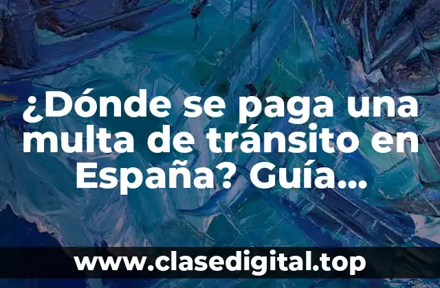¿Dónde se paga una multa de tránsito en España? Guía completa