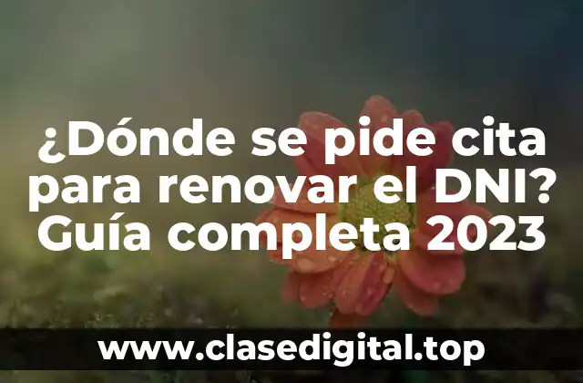 ¿Por qué es importante renovar el DNI?