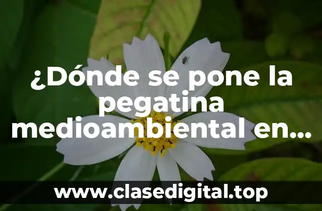 ¿Dónde se pone la pegatina medioambiental en un producto? Guía completa