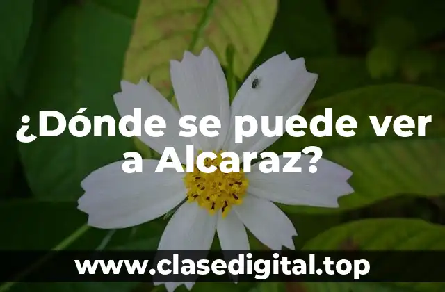 ¿Dónde se puede ver a Alcaraz?