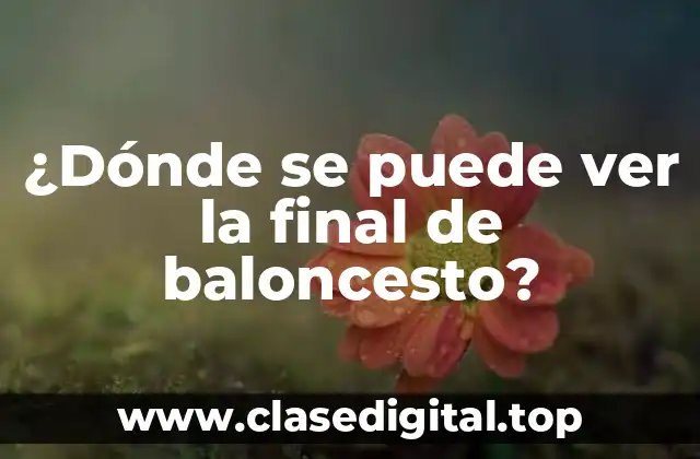 ¿Dónde se puede ver la final de baloncesto?