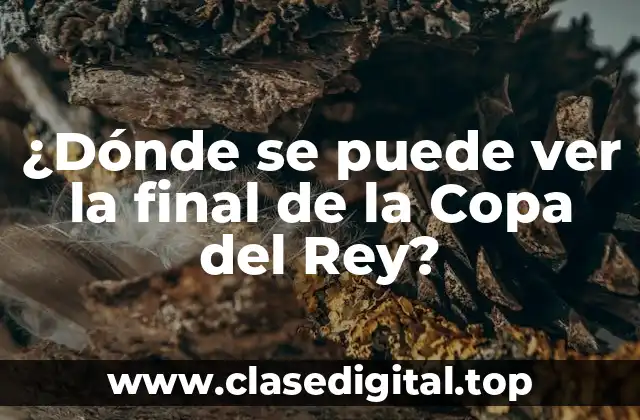 ¿Dónde se puede ver la final de la Copa del Rey?
