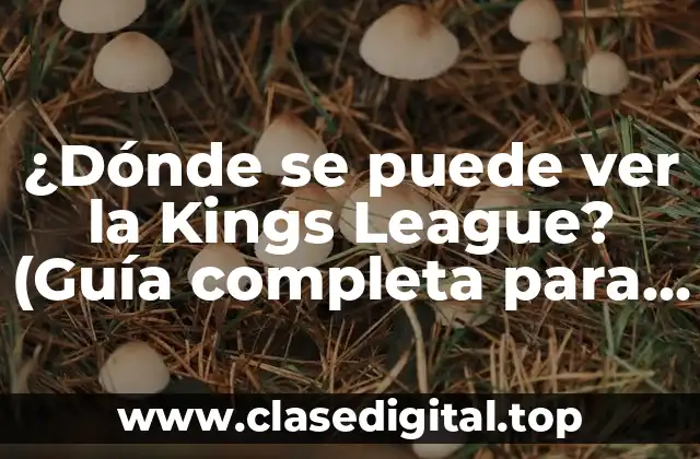 ¿Dónde se puede ver la Kings League? (Guía completa para espectadores)