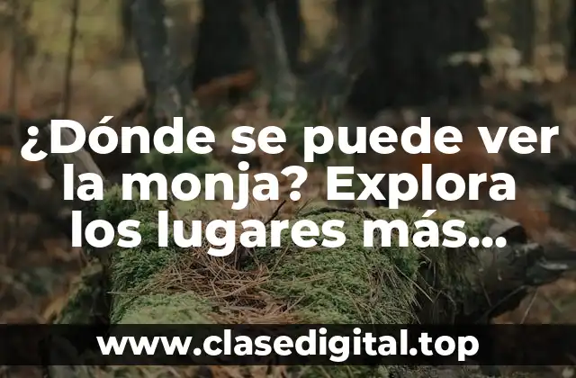 Conventos y Monasterios Históricos