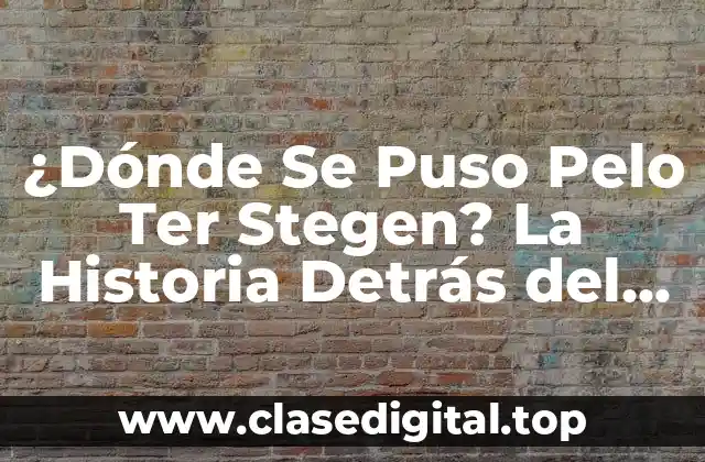 ¿Dónde Se Puso Pelo Ter Stegen? La Historia Detrás del Portero del Fútbol
